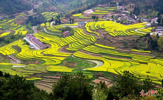 Terasovitá pole ve vesnici Shiyangzhan v okrese Bashan ve městě Hanzhong v provincii Shaanxi. Foto: Wu Tiantian / Guangming Picture